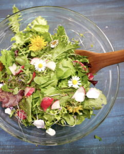 Wildkräutersalat mit Blüten