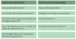 Energiespeichersysteme