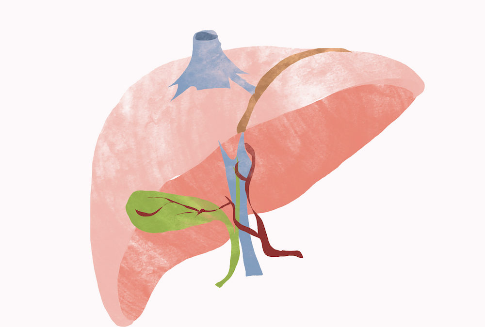 Heal Your Liver With Anthony William