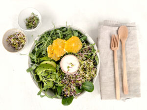 sprouts and microgreens salad