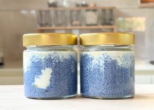 Chiapudding with blue spirulina