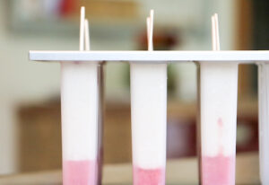 raw vegan ice pops