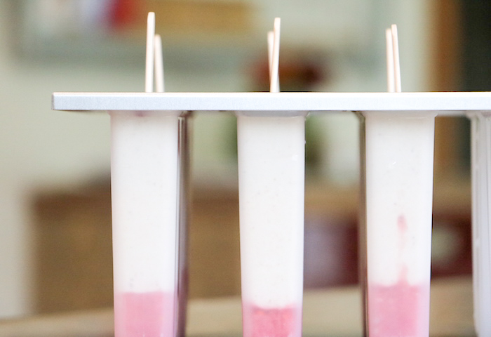 raw vegan ice pops